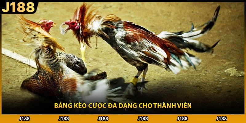 Bảng kèo cược đa dạng cho thành viên