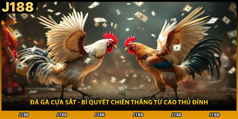 Đá Gà Cựa Sắt - Bí Quyết Chiến Thắng Từ Cao Thủ Đỉnh