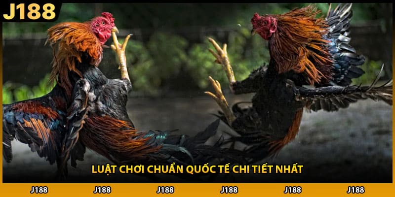Luật chơi chuẩn quốc tế chi tiết nhất