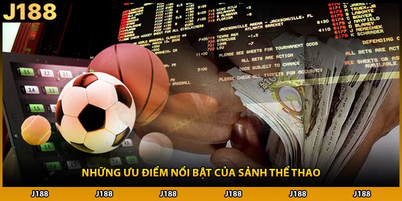 Những ưu điểm nổi bật của sảnh thể thao