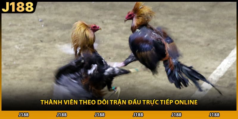 Thành viên theo dõi trận đấu trực tiếp online