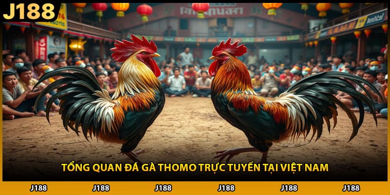Tổng quan đá gà Thomo trực tuyến tại Việt Nam
